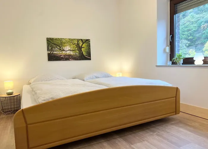 Haus Am Bach بيت للعطل شليدن